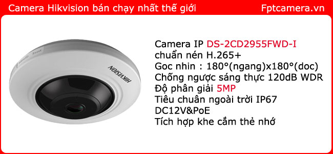 lap-dat-camera-ip-hikvision-DS-2CD2955FWD-I