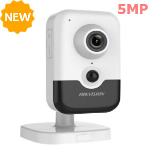 Camera IP wifi DS-2CD2455FWD-IW HIKVISION