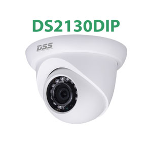 Lắp đặt camera Dahua IP DS2130DIP