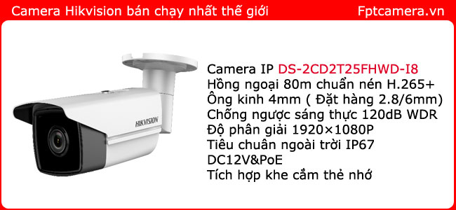 lap-dat-camera-ip-hikvision-DS-2CD2T25FHWD-I8